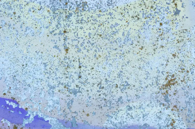 儋州家庭洗护用品选购指南：洗发水与洗衣液的成分配比与清洁效果对比