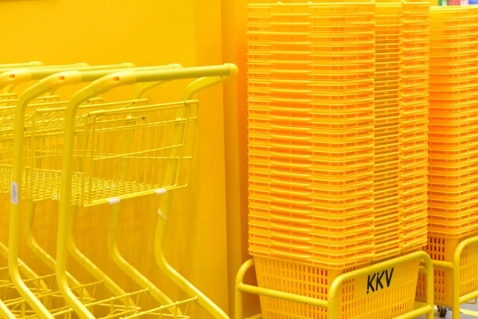 儋州家庭洗护用品市场趋势与消费升级分析