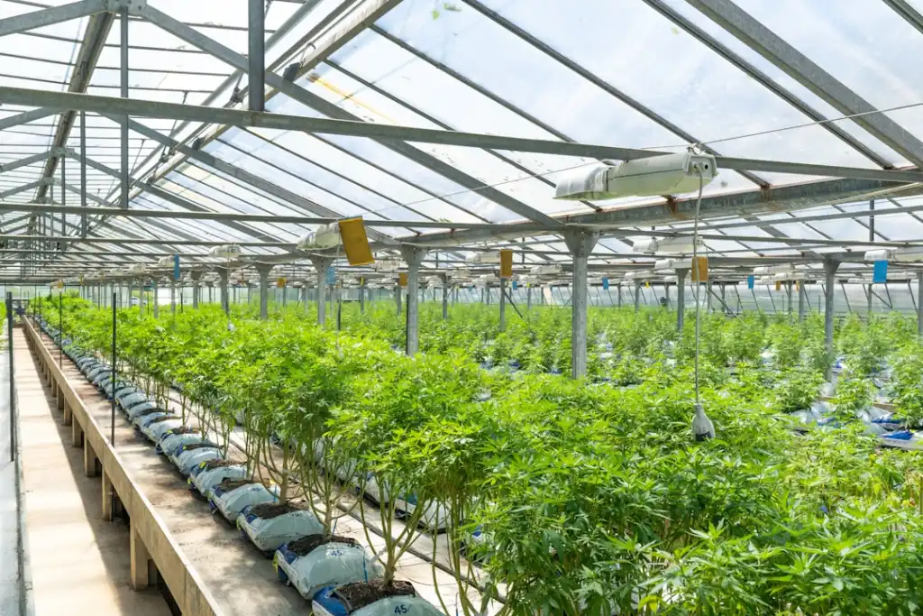儋州家庭洗护用品选购指南：从成分到性价比的全面解析