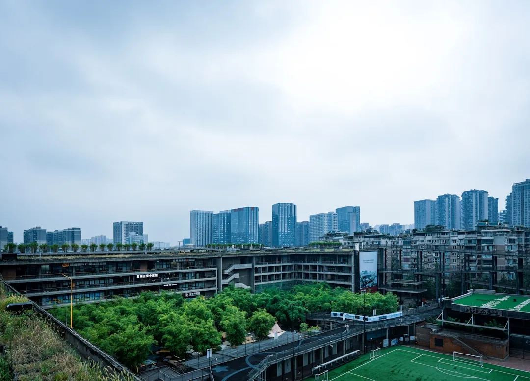 儋州南丰捷涯百货店洗发水与洗衣液产品型号对比分析
